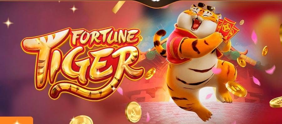 6z bet