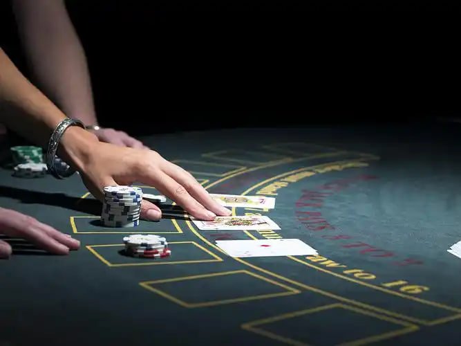 6z bet