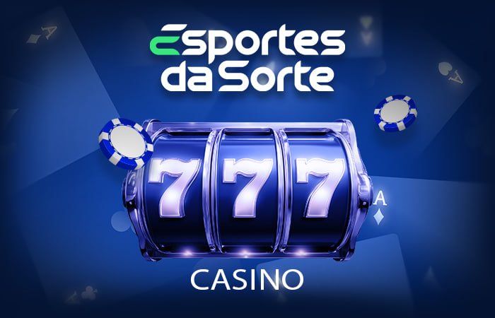 6z bet