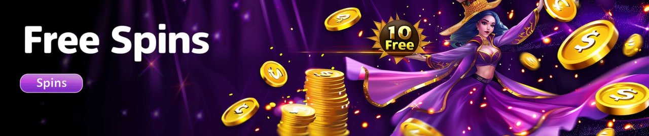 6z bet