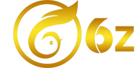 6z bet Logo